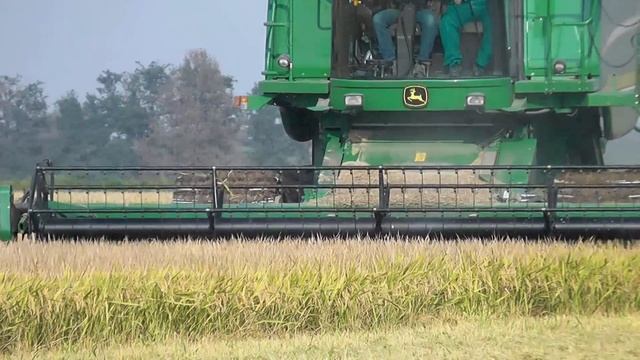 John Deere S660i - John Deere 9780i CTS mietitura riso / rice harvest 04/10/2014