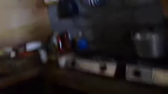 bali gekkon — Wi Fi