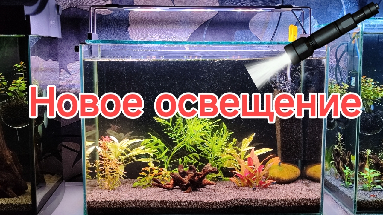 Новое освещение на 30 литровый аквариум