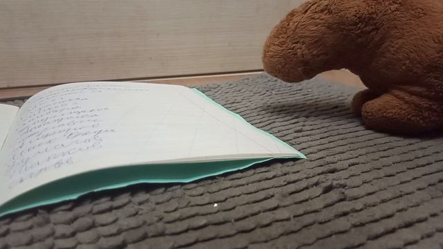 Школа капибар *долгая проверка тетрадей*