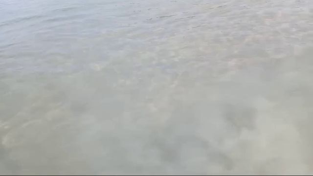 Море от Надежды 09.02.25.