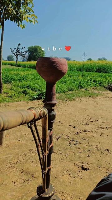 indian desi life