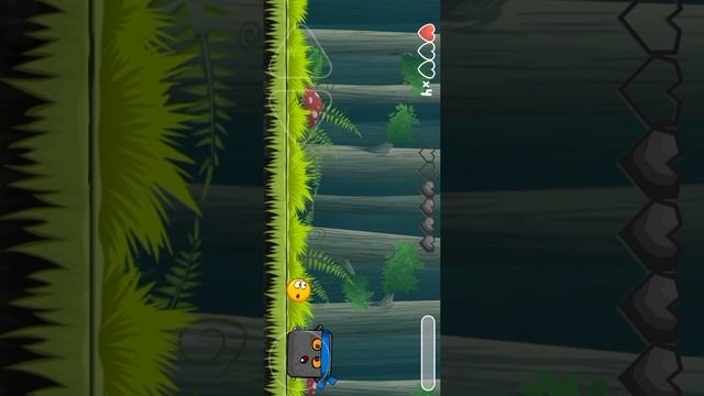 1000004153.mp4