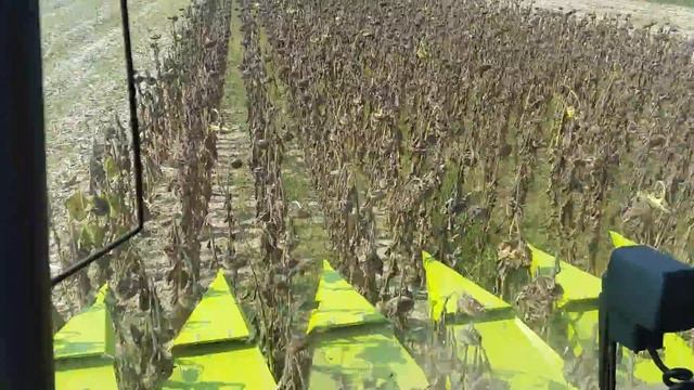 CLAAS MEGA 350 + OROS SAN +CHOP