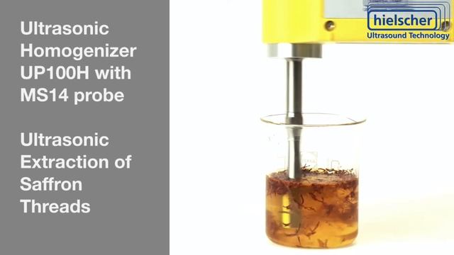 Ultrasonic Extraction of Saffron - Hielscher Ultrasonics