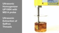 Ultrasonic Extraction of Saffron - Hielscher Ultrasonics