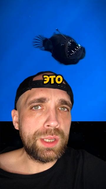 Учёные засняли морского дьявола #морскойдьявол #zloered #ультриванов