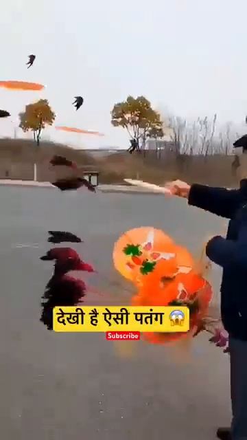 Kite Lovers #viral #kitelover #patang #kiteflying #kiteculture #shorts
