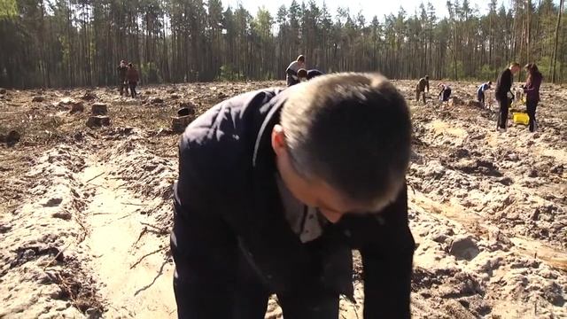Сьогодні під Радомишлем створили 2.5 гектари «майбутнього лісу» _канал Житомир