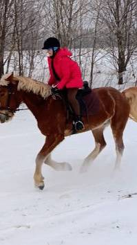 Вика и Каспер, галоп в поле. #horse #equestrian #лошади #pony