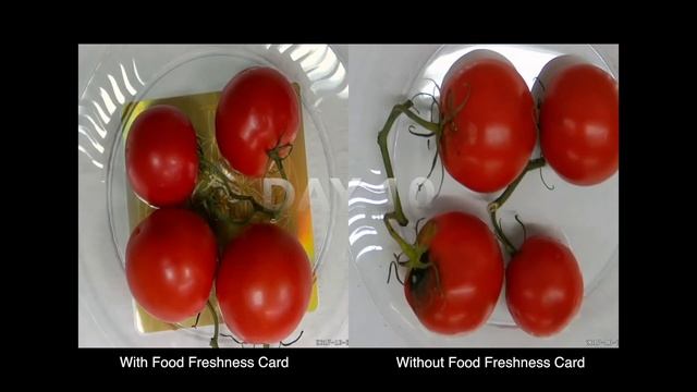Tomatoes 40 Day Laboratory Time Lapse Video with Food Freshness Card