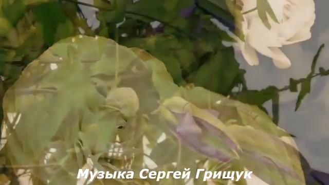♫Музыка Для души ♫ А Я Несу Тебе Цветы ♫ Музыка Сергей Грищук♫