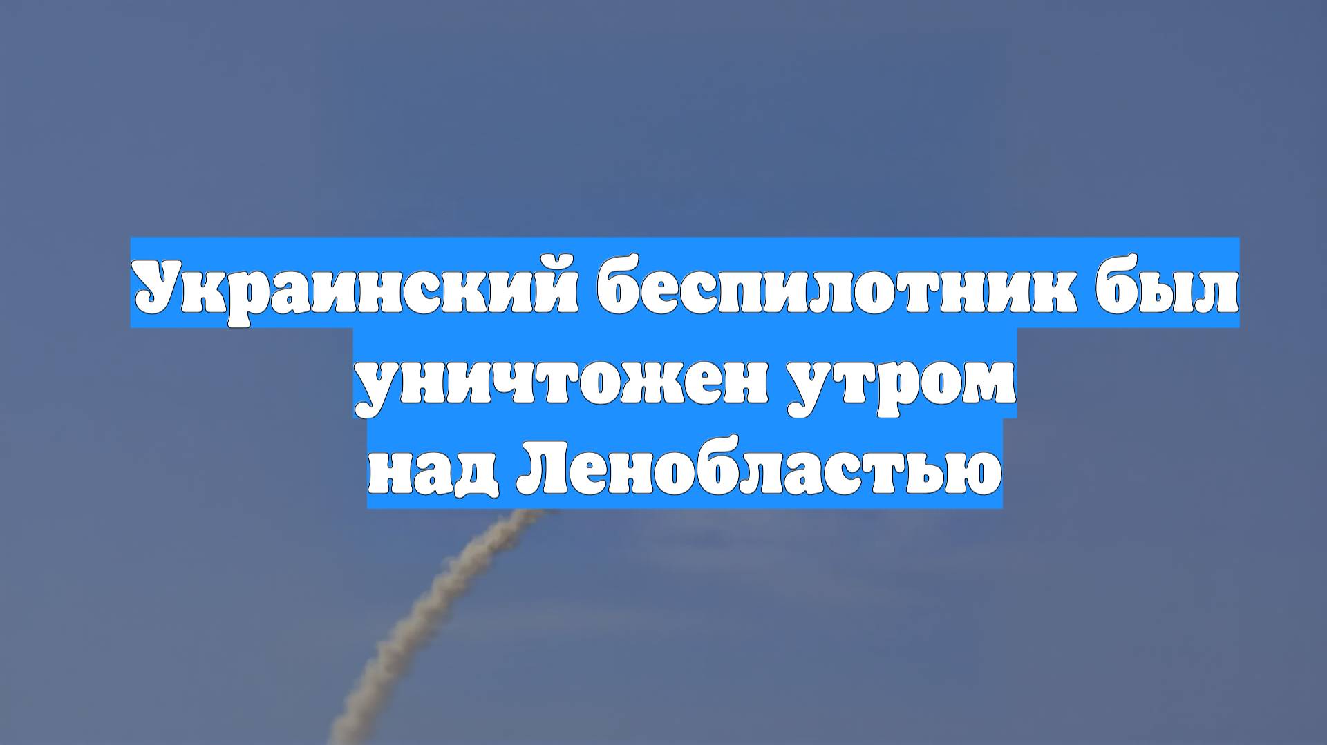Украинский беспилотник был уничтожен утром над Ленобластью