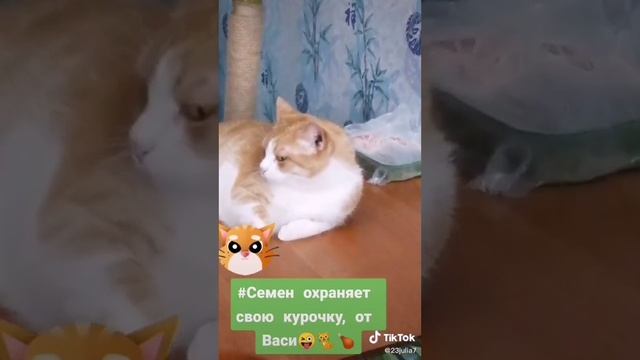 Архив 2022г