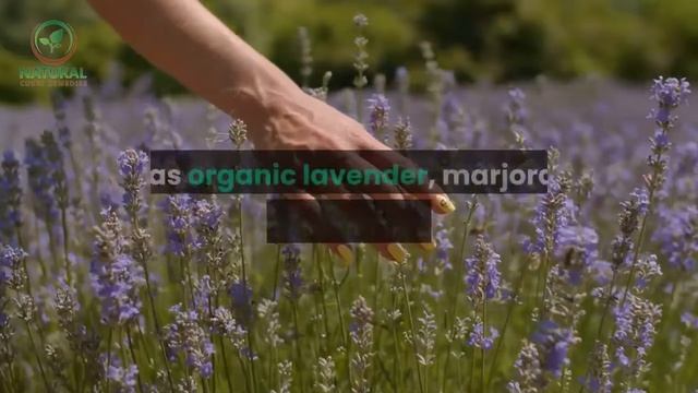 ✅ Skin care || Essential skin care products for me