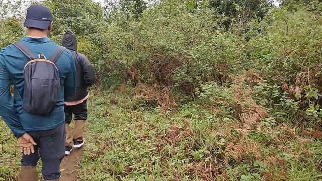 Gavi - Night Stay & Trekking Periyar Tiger reserve