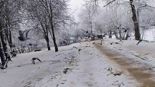Ледокол❄👊"МОНОКЛЬ"🚢