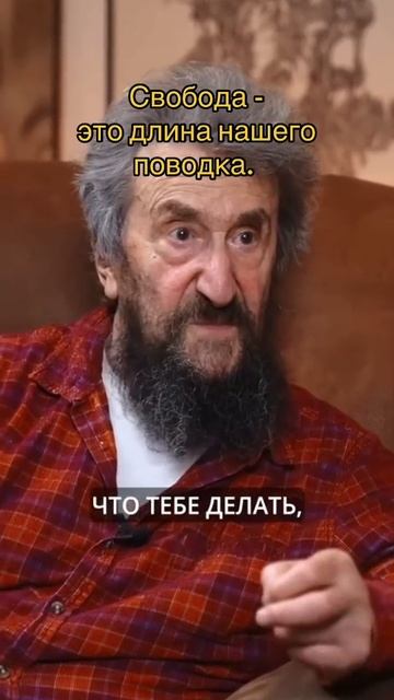 Свобода это длина вашего поводка