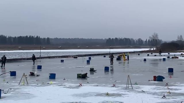 Запуск форели в акваторию