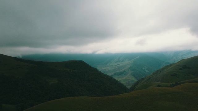 1000031513.mp4