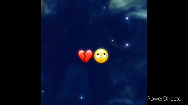 Что мне снимать про животных или про краша ?❤︎❤︎