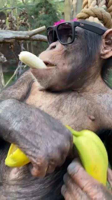 Друзья всем кайфа такого же к лету желаю🤗🤗🤗