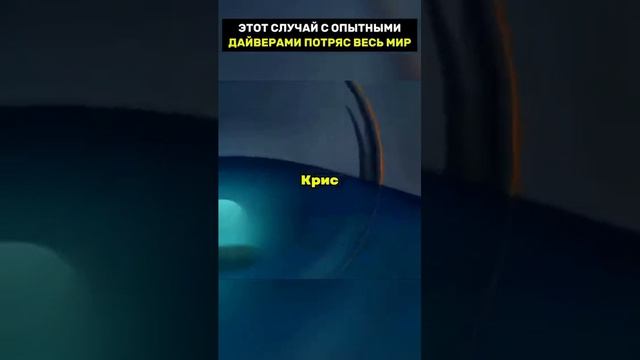 Этот случай с опытными дайверами потряс весь мир