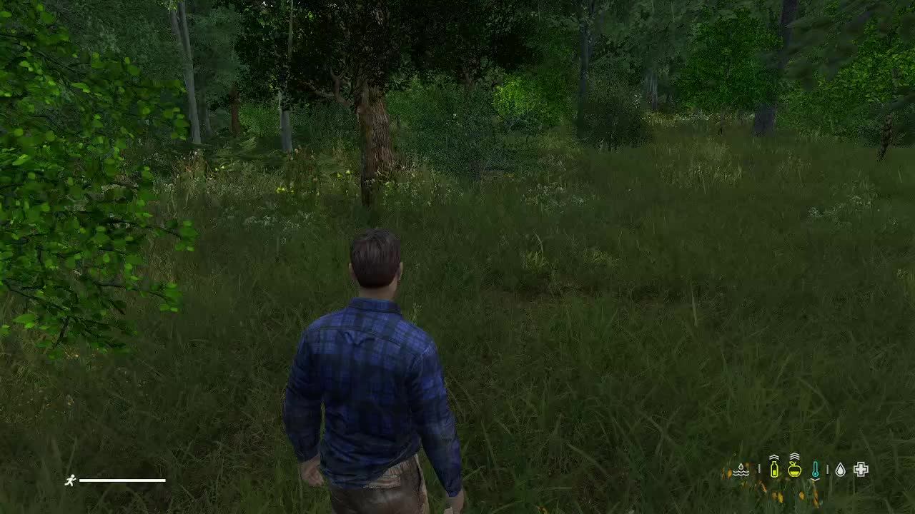 DAYZ
