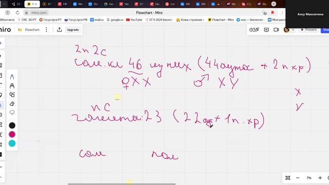 BioTeach Продолжение разбора задач линии 3 ЕГЭ биология