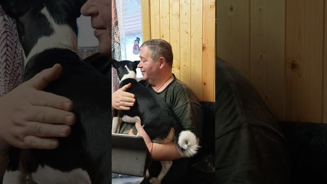 Папина радость