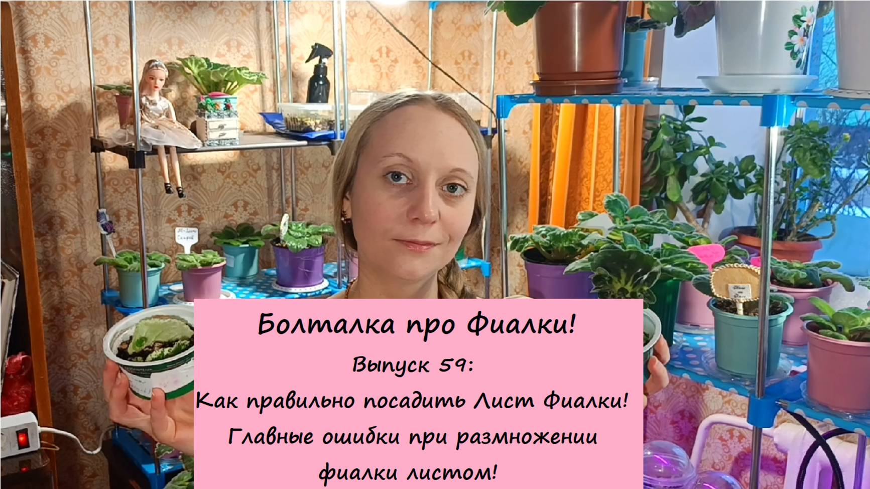 Болталка про Фиалки! Выпуск 59: Как правильно посадить Лист Фиалки! Ошибки при размножении фиалок!