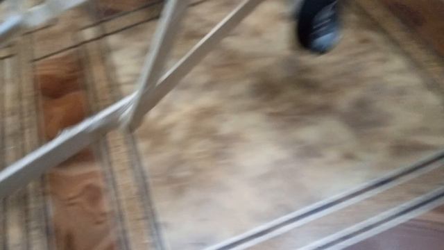 самодельный летающий самолёт