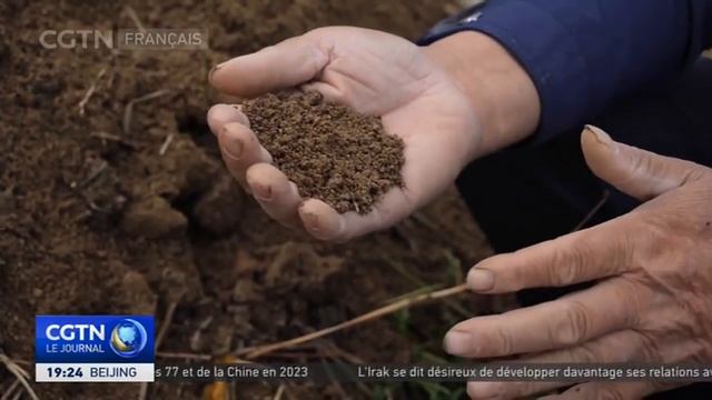 Les agriculteurs du Shandong cultivent des produits à haute valeur ajoutée