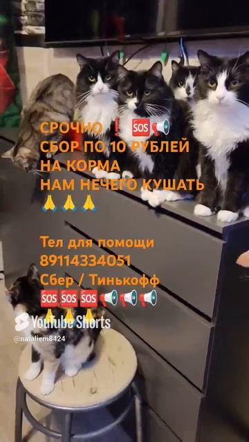 ЧЕЛОВЕК ПОМОГИ 🙏🆘