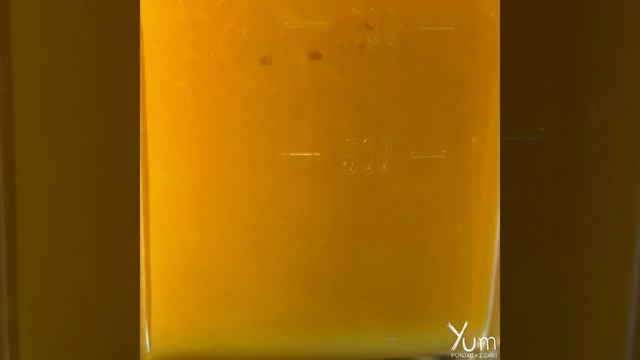 Homemade Mango Frooti