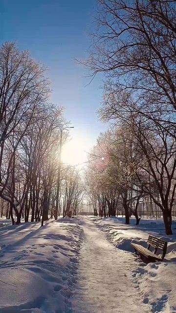 зимний вайб ❤
