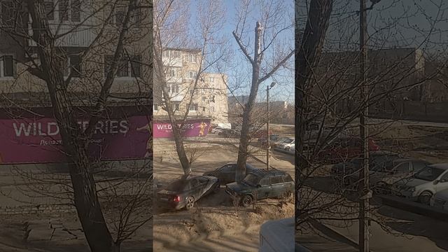 1000058865.mp4