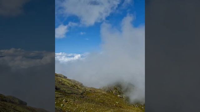 Природа — это храм, где каждый может найти утешение