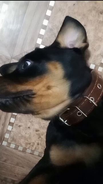 Улыбчивый Жорик