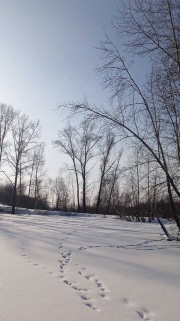на озере