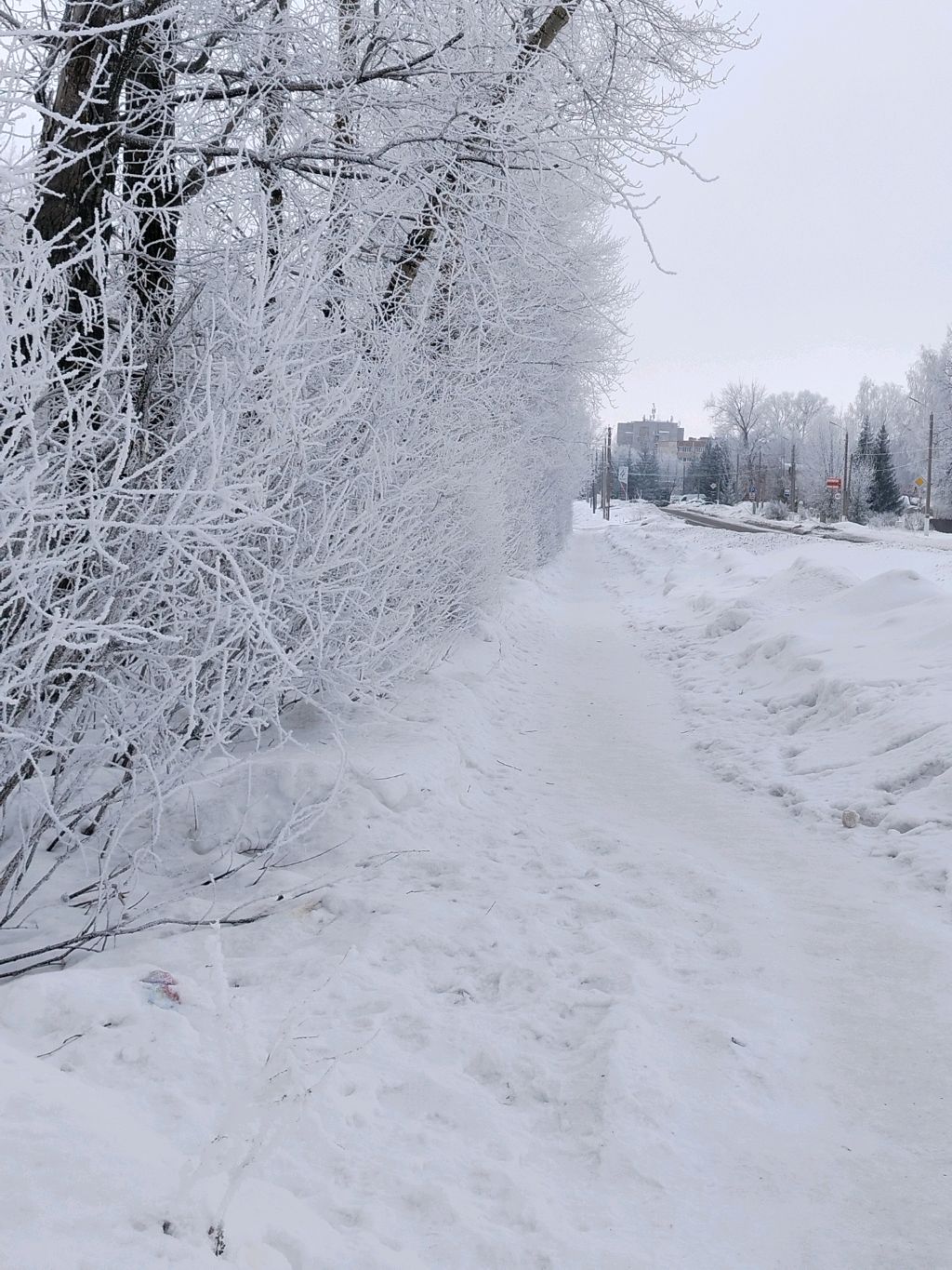 Мы с Сашей...