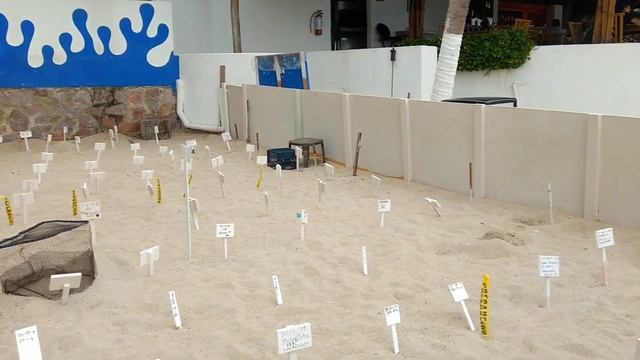 Puerto Vallarta Adventure