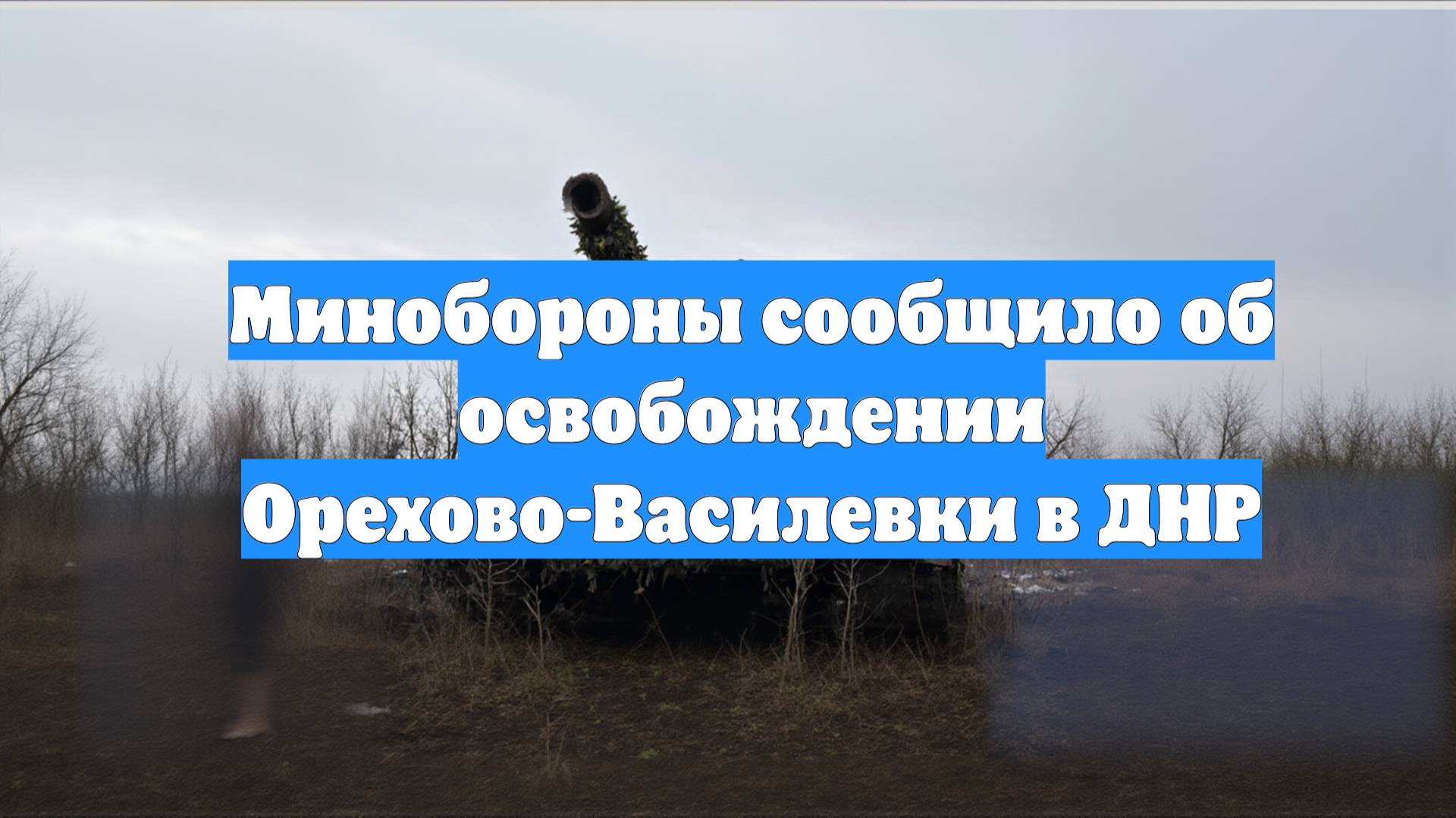 Минобороны сообщило об освобождении Орехово-Василевки в ДНР