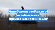 Минобороны сообщило об освобождении Орехово-Василевки в ДНР