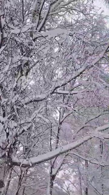 Звон, Звон,Звон.