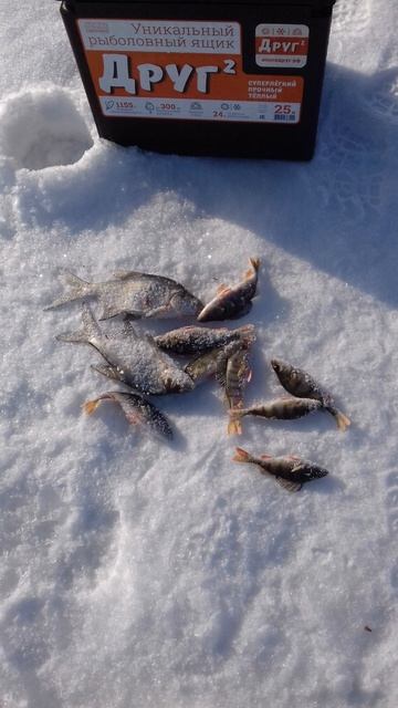 Немного порыбачил на спортивную мормышку🎣