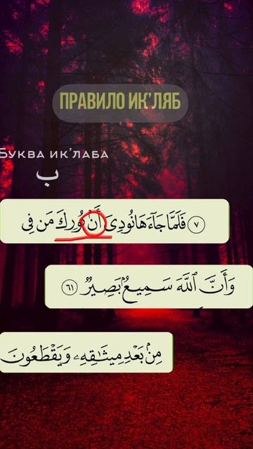 Правилы Таджвида - КОРАН (53)