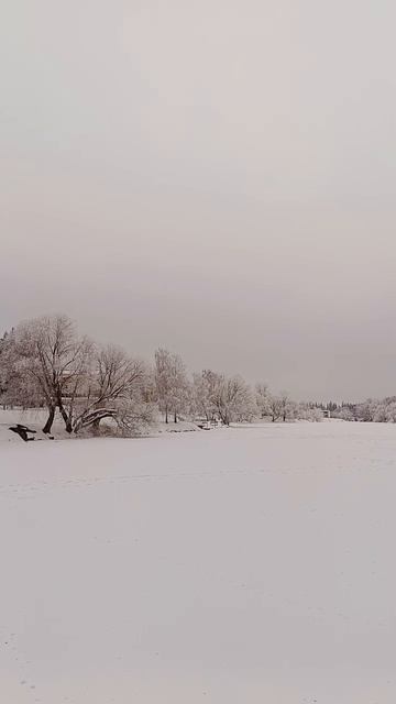 прекрасный снежный город🌨