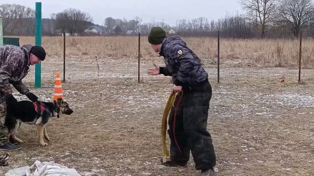 Хейлана Из Новой Империи 5 месяцев