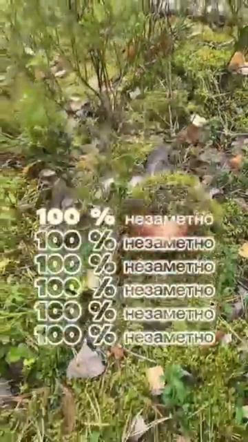 по грибы